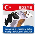 Balıkesir DSYB
